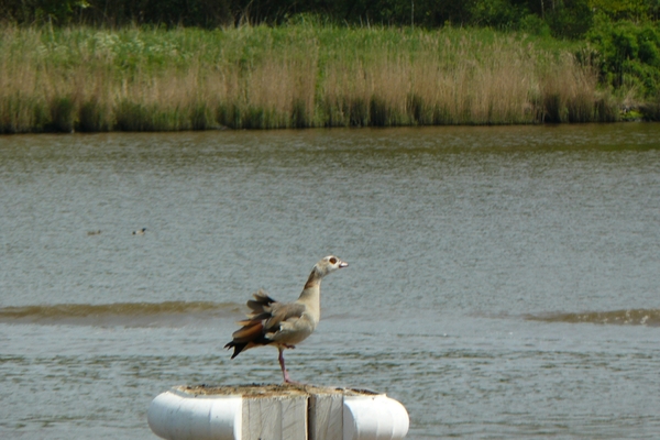 2008-05-024 BURG 2008 par1 126