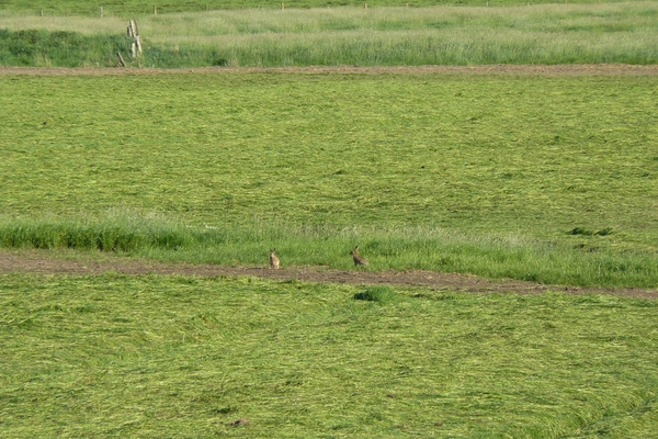 2008-05-024 BURG 2008 par1 145