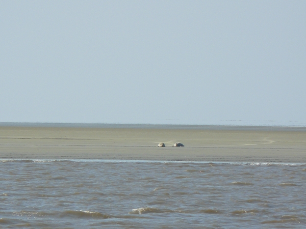 2008-05-024 BURG 2008 par1 183