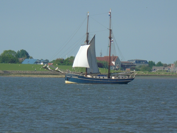 2008-05-024 BURG 2008 par1 215