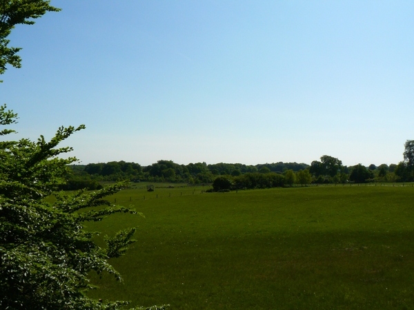 2008-05-024 BURG 2008 par1 311