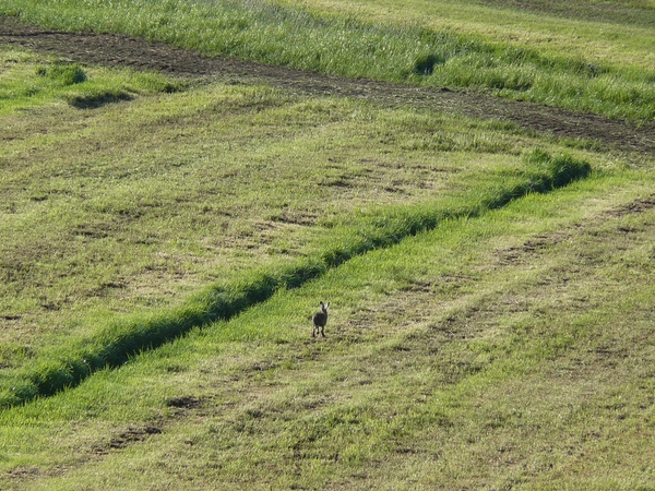 2008-05-024 BURG 2008 par1 339