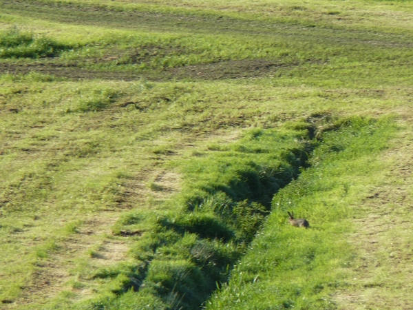 2008-05-024 BURG 2008 par1 340