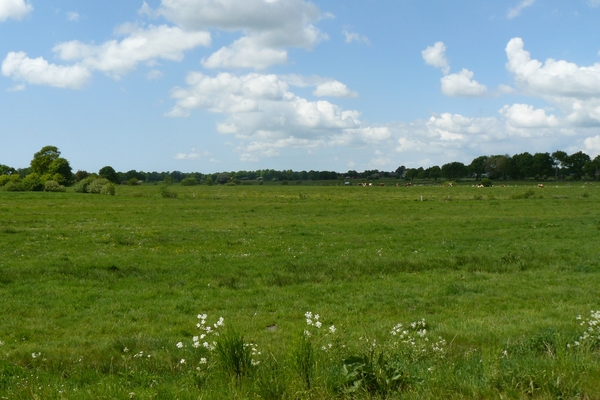 2008-05-024 BURG 2008 par 2 076