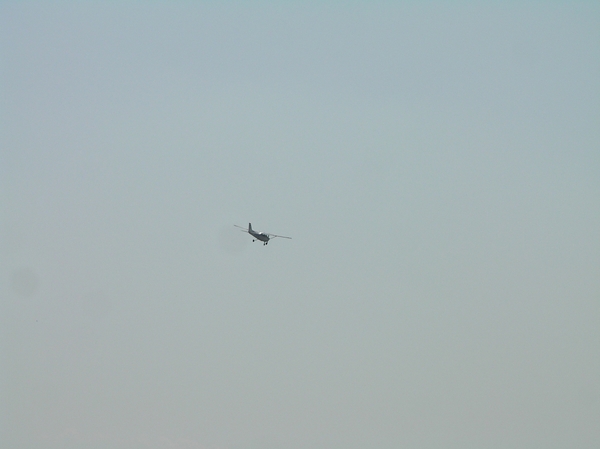 2008-05-024 BURG 2008 D 005