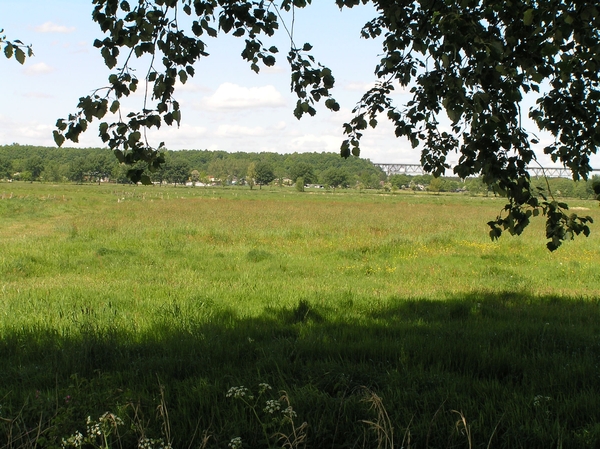2008-05-024 BURG 2008 D 116