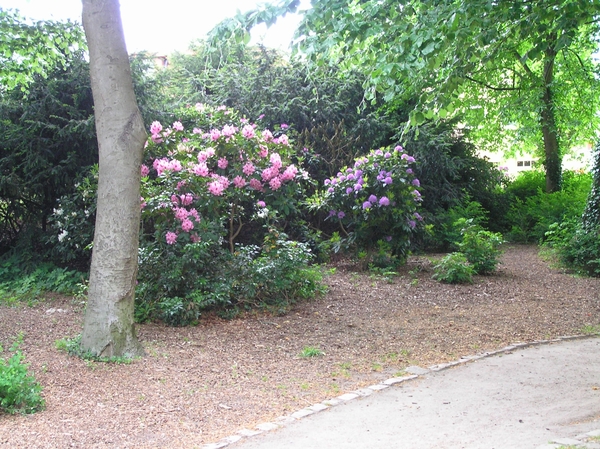 2008-05-024 BURG 2008 D 123