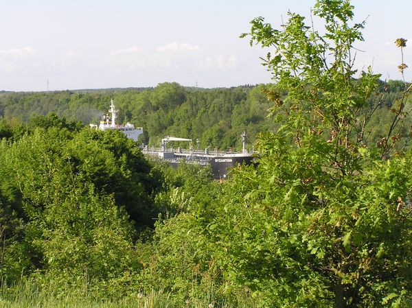 2008-05-024 BURG 2008 D 146