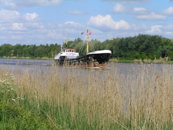 2008-05-024 BURG 2008 D 171