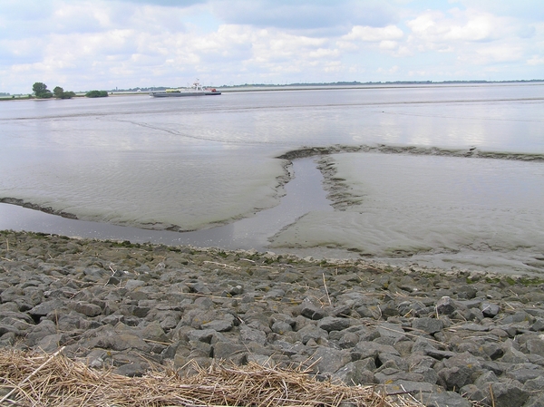 2008-05-024 BURG 2008 D 187