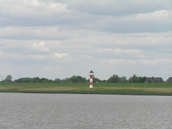 2008-05-024 BURG 2008 D 197