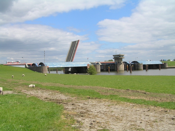 2008-05-024 BURG 2008 D 207