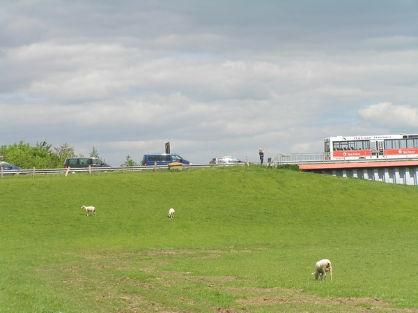 2008-05-024 BURG 2008 D 208