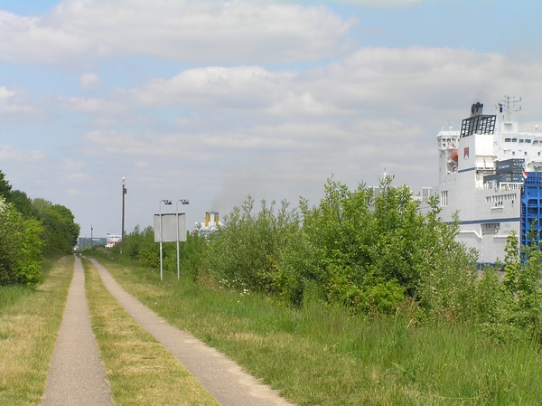 2008-05-024 BURG 2008 D 231