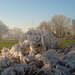 Kerststallentocht 024
