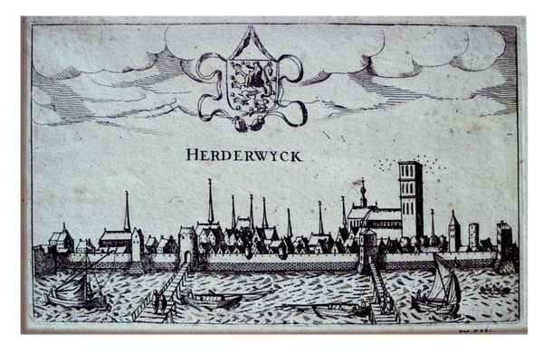 75 haven oud