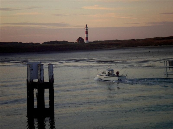 Afbeelding 010 (Medium)