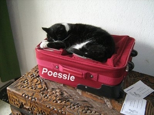 poessie