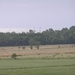 2009-06-29 burg 2 279