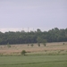 2009-06-29 burg 2 280