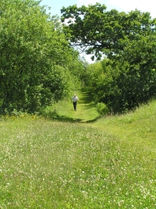 2009-06-29 burg 2 297