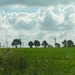 2009-06-29 burg 2 350