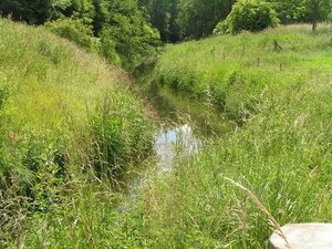 2009-06-29 burg 2 353