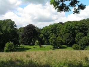 2009-06-29 burg 2 354