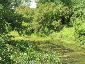 2009-06-29 burg 2 357