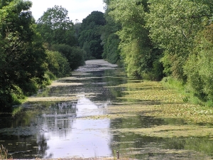 2009-06-29 burg 2 358
