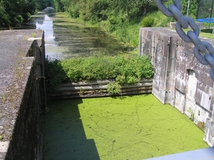 2009-06-29 burg 2 359