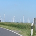 2009-06-29 burg 2 388