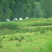 2009-06-29 burg 2 443