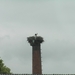 2009-06-29 burg 2 446