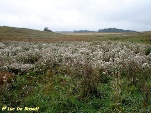 2009_09_13 Ermeton-sur-Biert 10