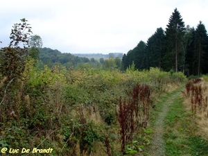 2009_09_13 Ermeton-sur-Biert 11