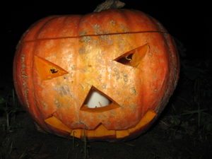 Haloween pompoen 002