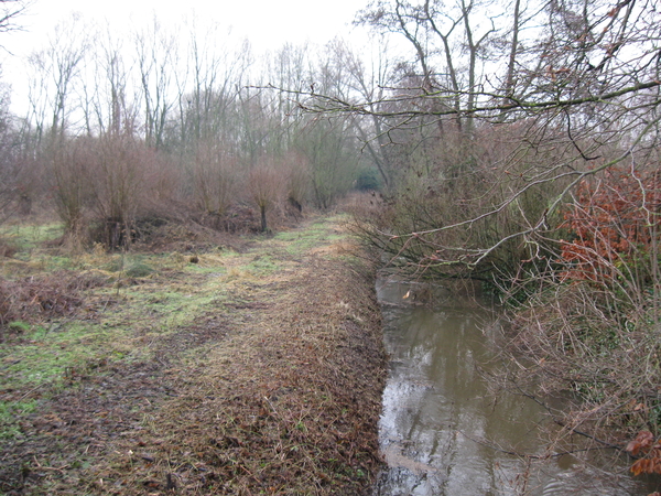 Overstromingsgebied van de Aa-beek te Leest