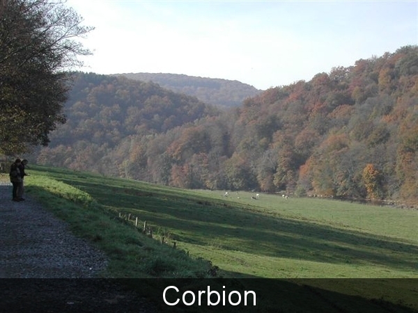 031020 Corbion 1