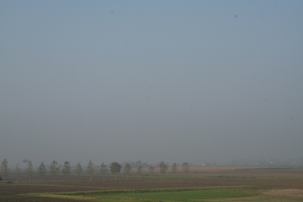 061016 stuivekens 14