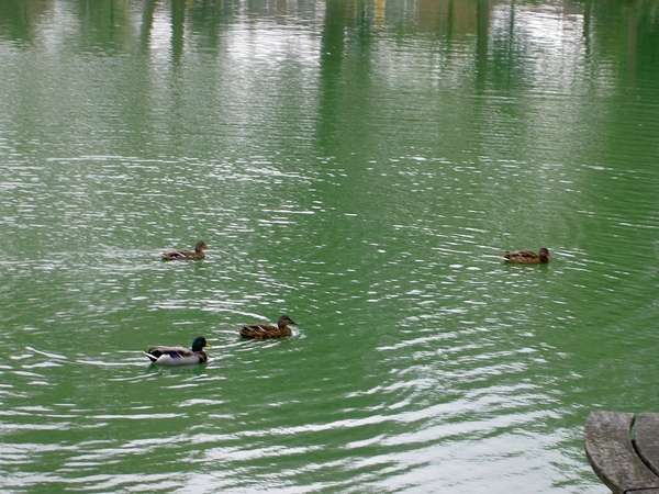 Souburg  Park 009