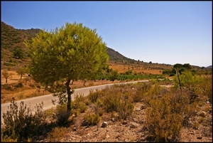 Costablanca3-035