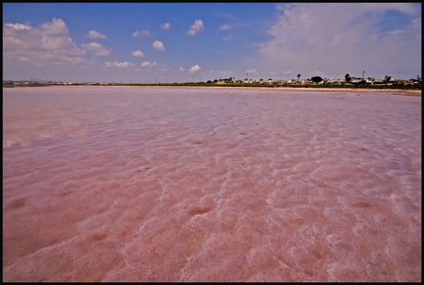 Torrevieja