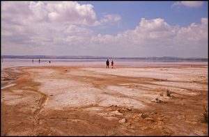 Torrevieja