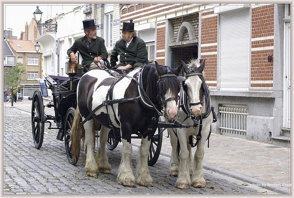 sized_sized_DSC13530a st guidoprocessie