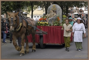 sized_sized_DSC13578a st guidoprocessie