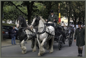 sized_sized_DSC13582a st guidoprocessie