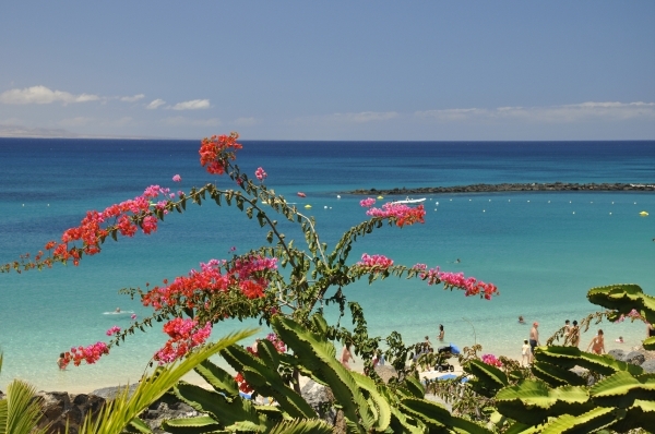 playa blanca 1 253A