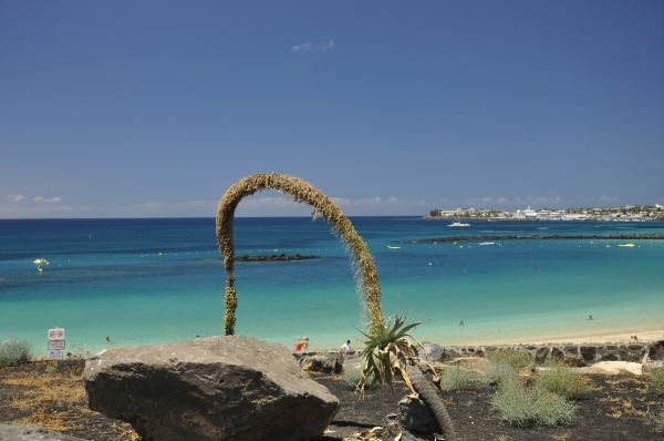 playa blanca 1 258