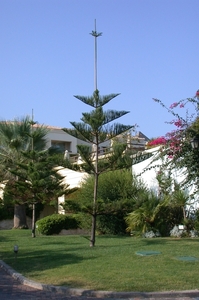 Panormo Club Marine Palace tuin
